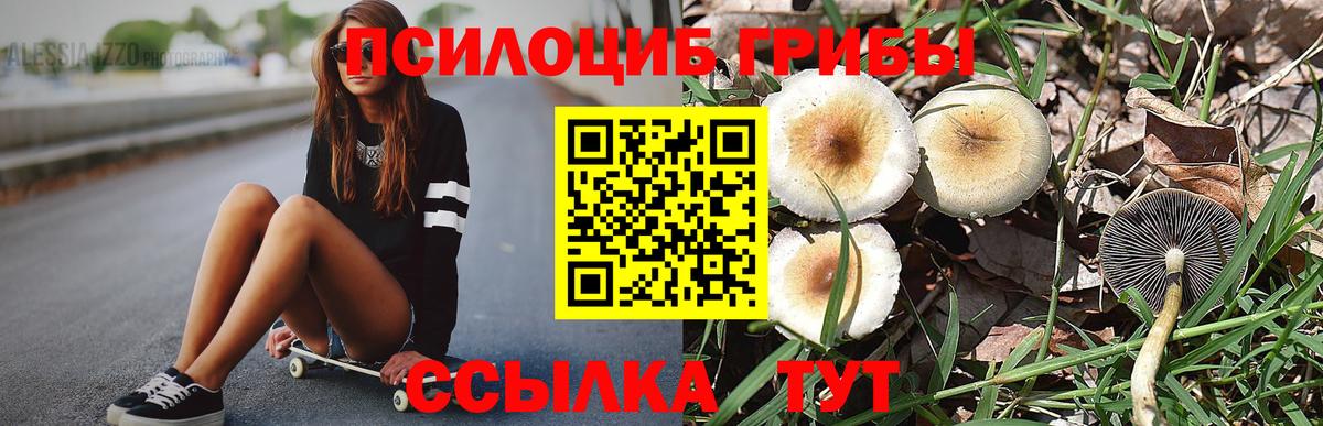 Галлюциногенные грибы MAGIC MUSHROOMS  Псилоцибиновые грибы MAGIC MUSHROOMS  Ишимбай  цена наркотик  Вход с VPN 