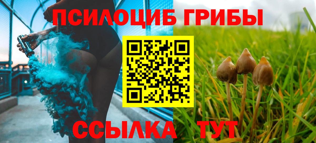 Псилоцибиновые грибы ЛСД Ишимбай